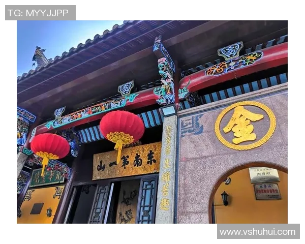 飞盘追梦：王娜的竞技人生与心灵对话之旅